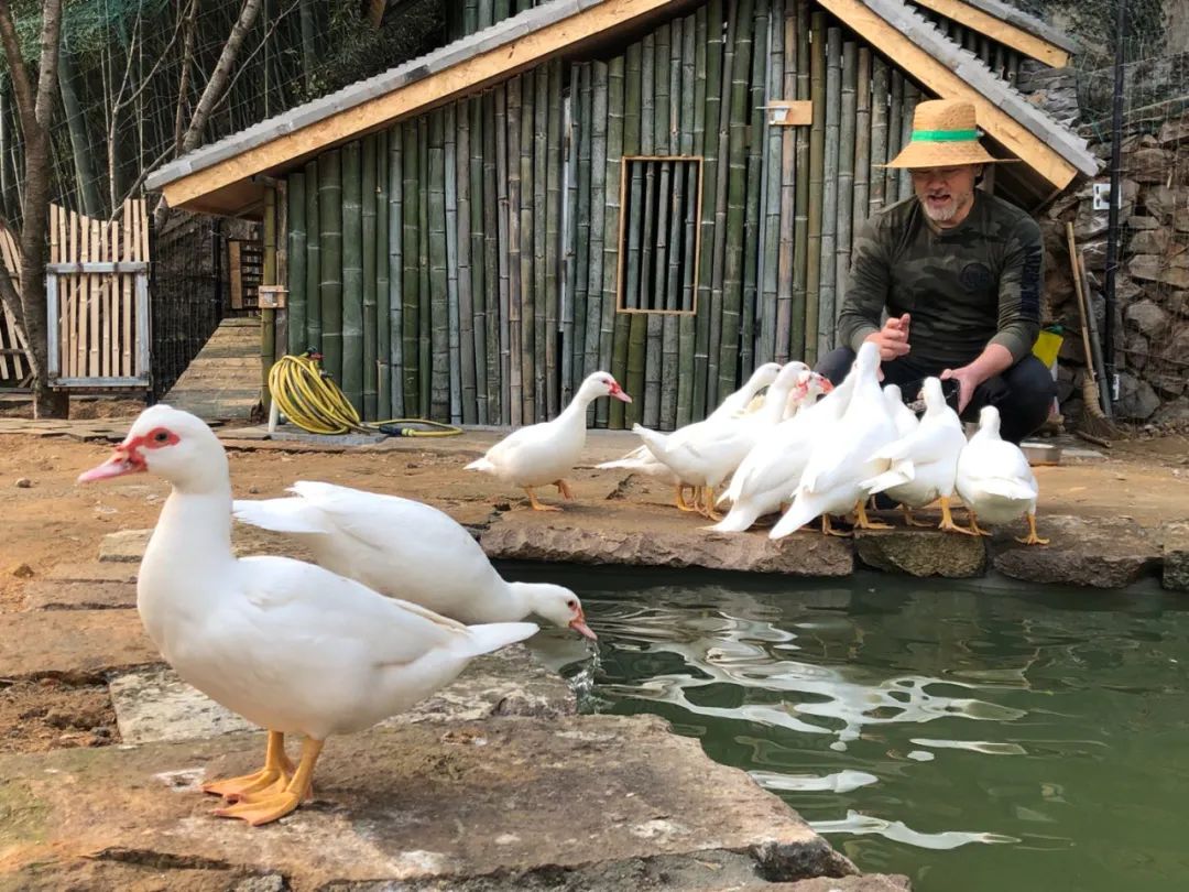 赵文瑄美男子的一生,赵文瑄年轻时美男子