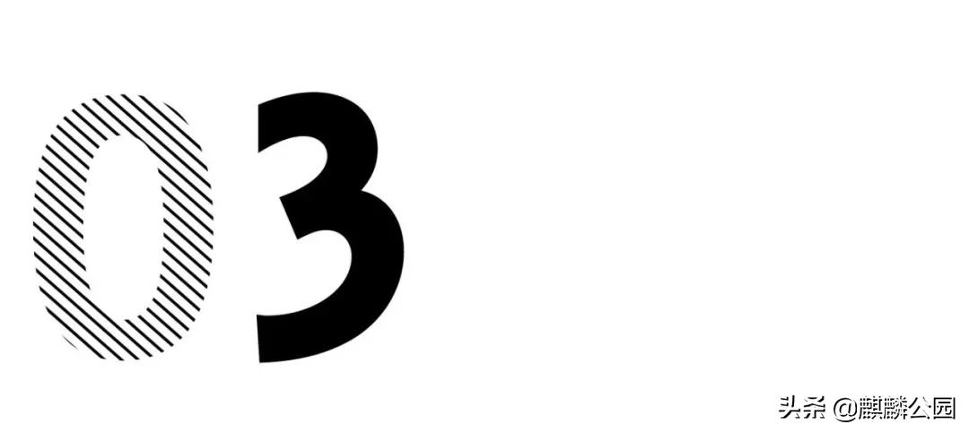 哪哪都有你|最大的国企美国邮政（USPS），快被特朗普搞破产了？