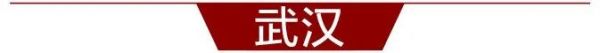 武汉双评议结果,武汉市“双评议”