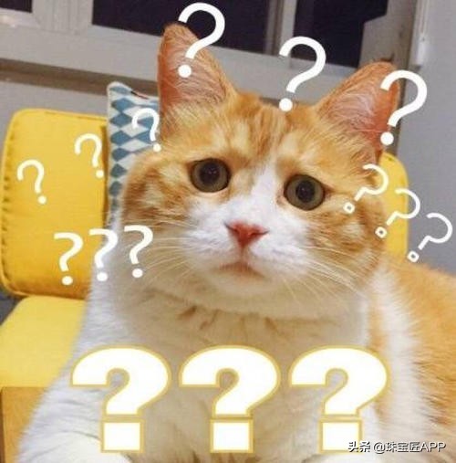 什么贝壳可以做成珠子,什么贝壳可以磨珠子