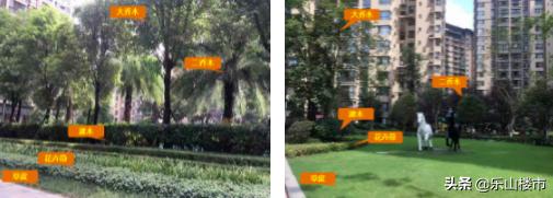 突击:我们暗中实查了时代青江小区的物业工作
