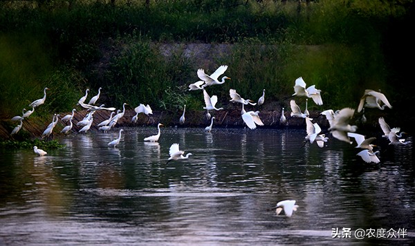 资阳田园乡村旅游景点,湖南省益阳市桃江县美丽乡村