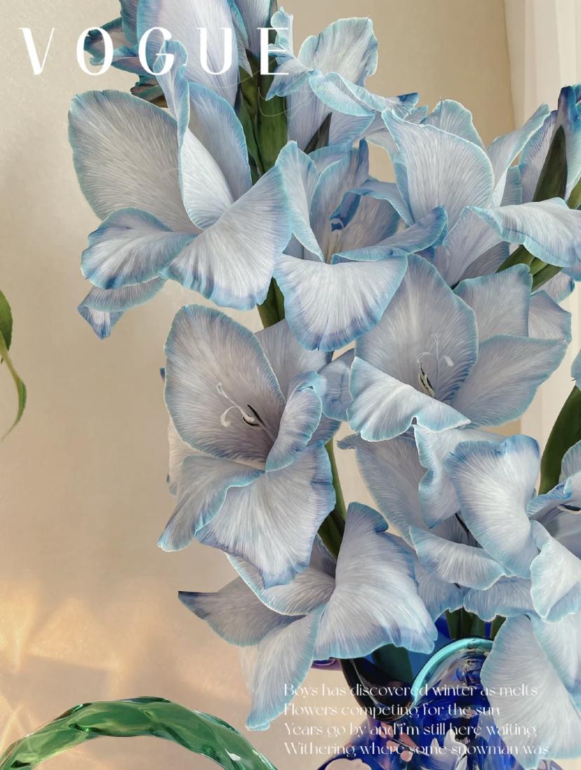 家里要有氛围感什么花比较好,家里高级的花