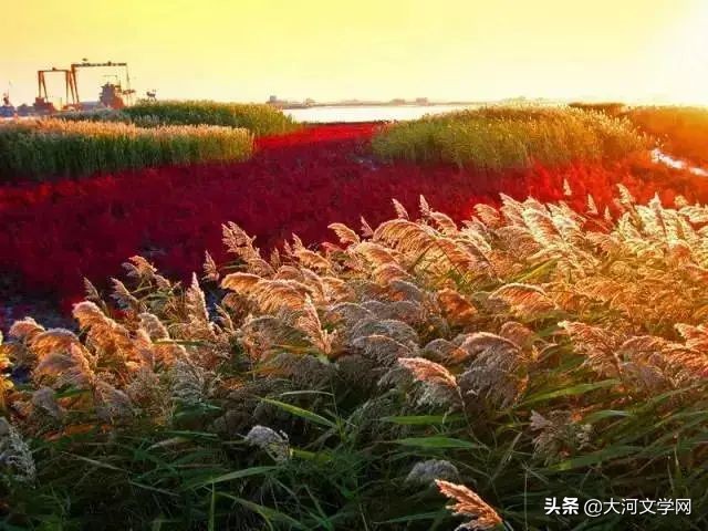 小说连载|古黄河的女儿（七）|作者：孟悟