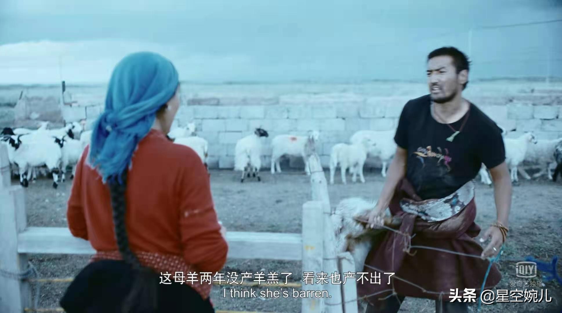 安全套的故事,一个安全套引发血案