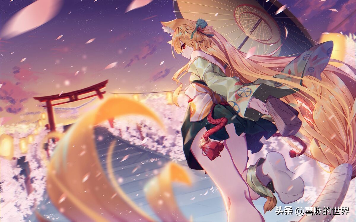 一份极为主观的国内常见内容创作平台体验报告