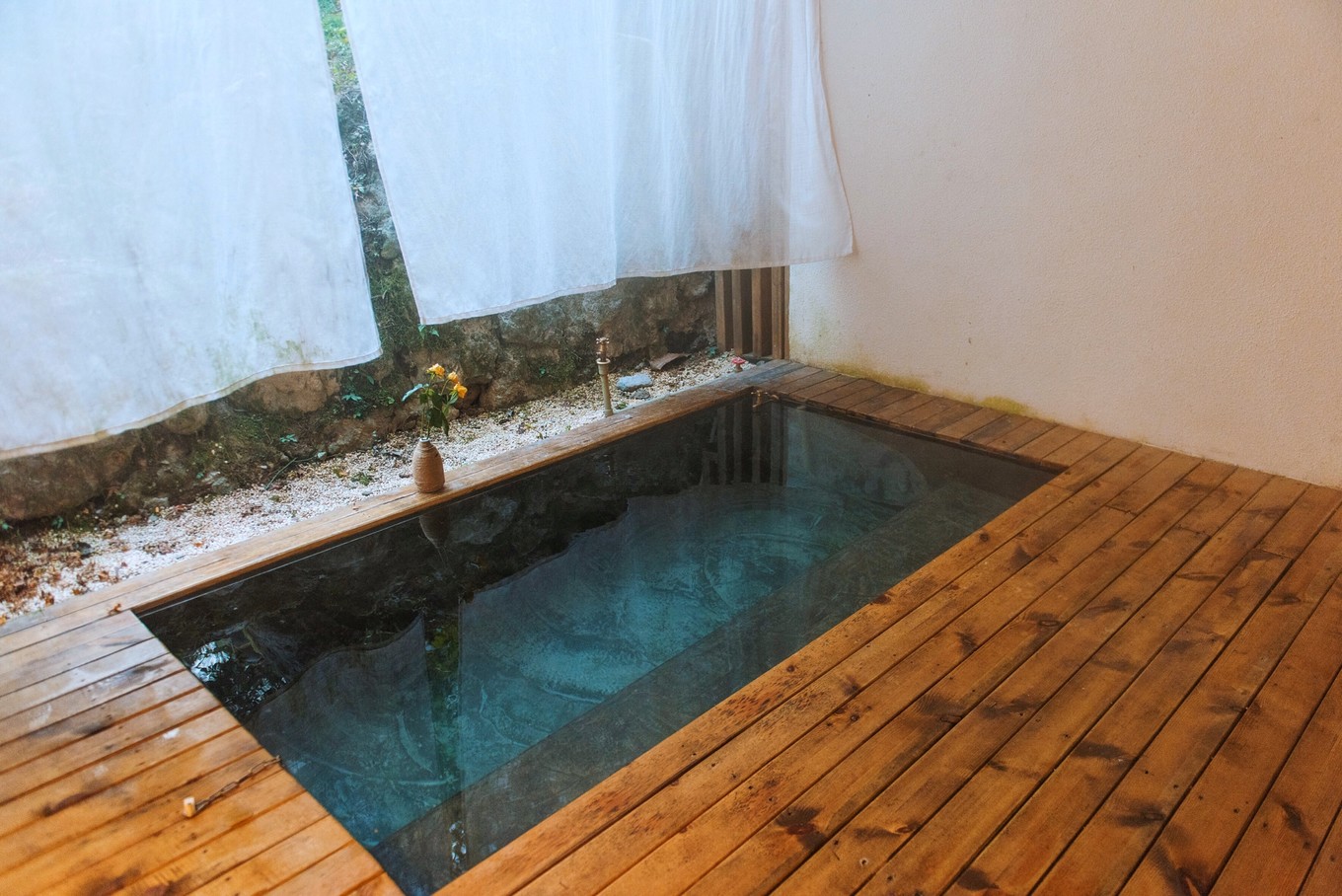 避暑攻略青城山,青城山踏青