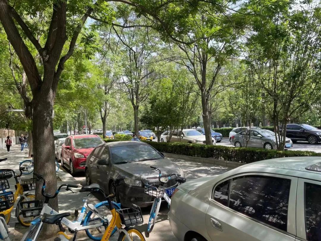 明明有停车位却停不了车,北京小区地库停车