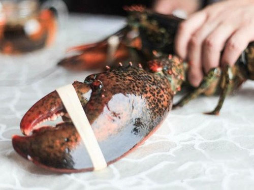 浅度挖掘龙虾身体的闪光点!它被定性为食物后,就只剩味道如何了