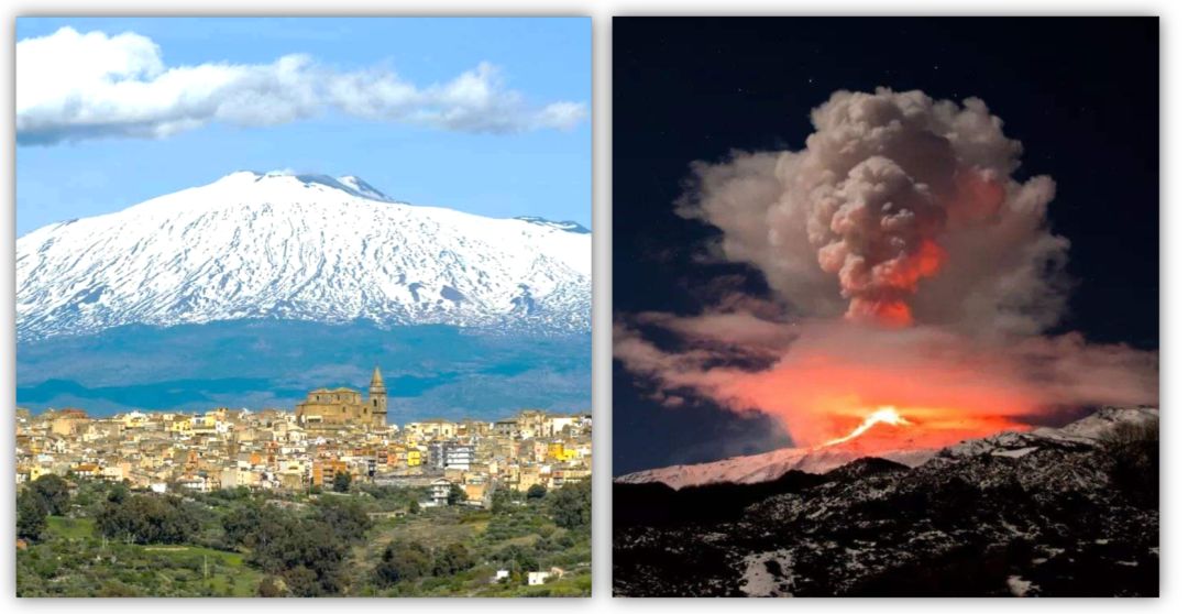 迪丽热巴花期,迪丽热巴青春年华