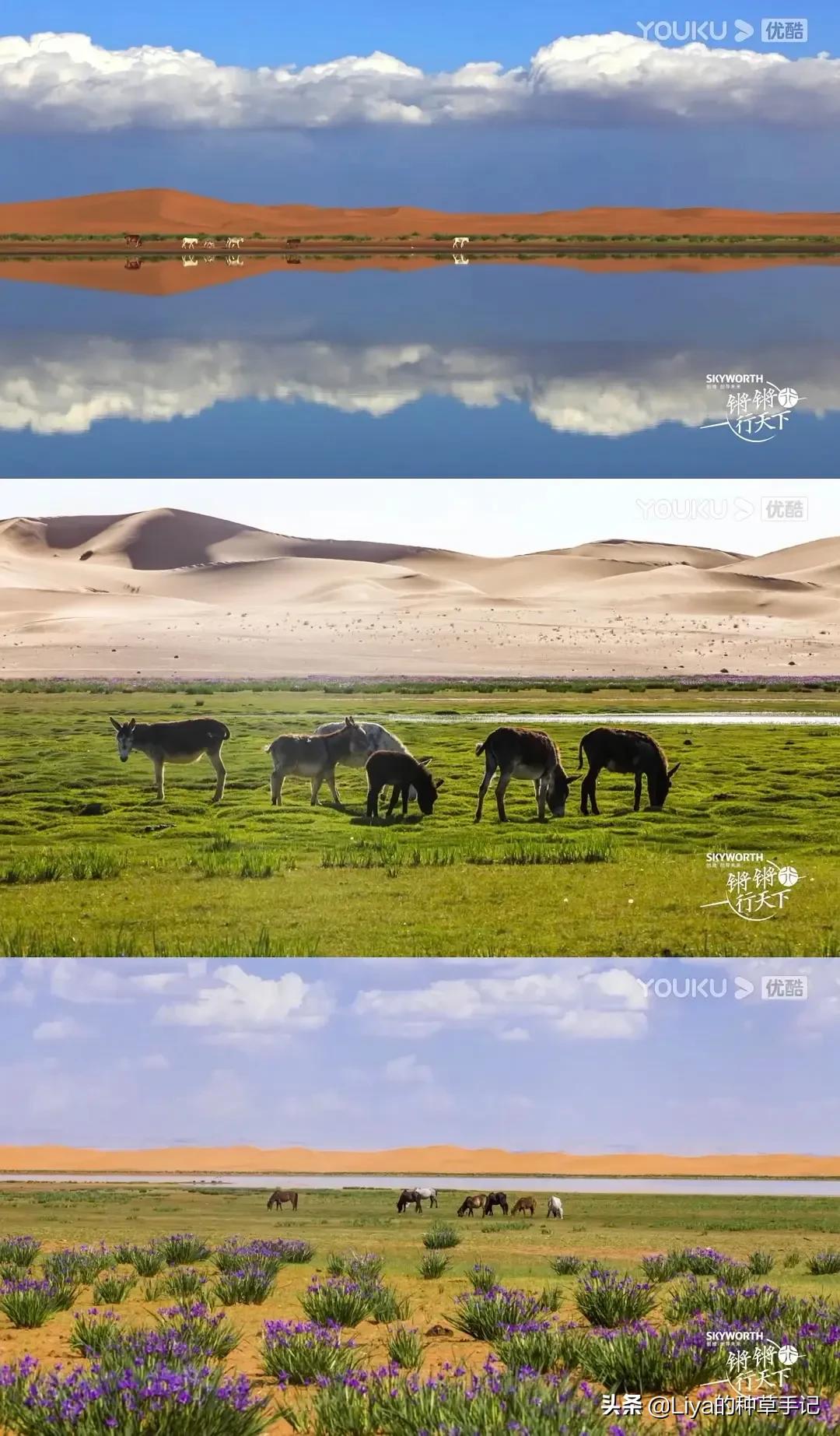 6部冬季必看好剧豆瓣评分高达9.7,给你10部豆瓣8.5以上的小众宝藏剧