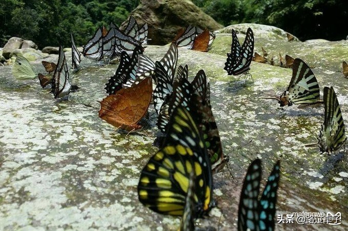 广州周边两天一夜自驾游英德,广州周边游清远