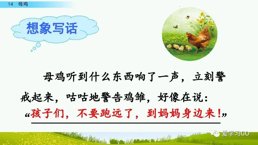 四年级下册语文母鸡课文重点讲解,四年级下册语文14课母鸡重点知识