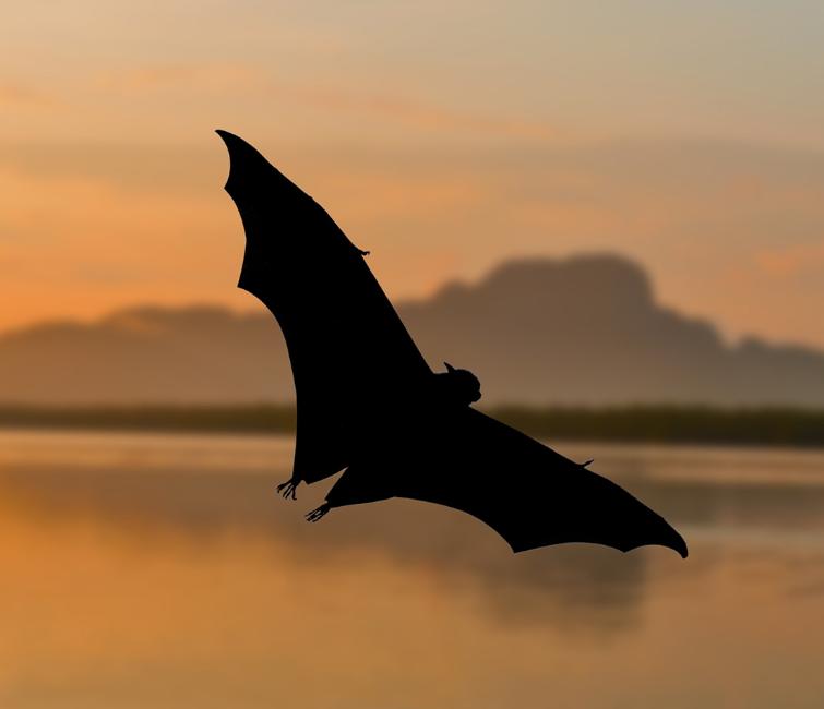 ​太原人从小就玩的游戏，“yèbiefū儿钻鞋来”，你还记得吗？