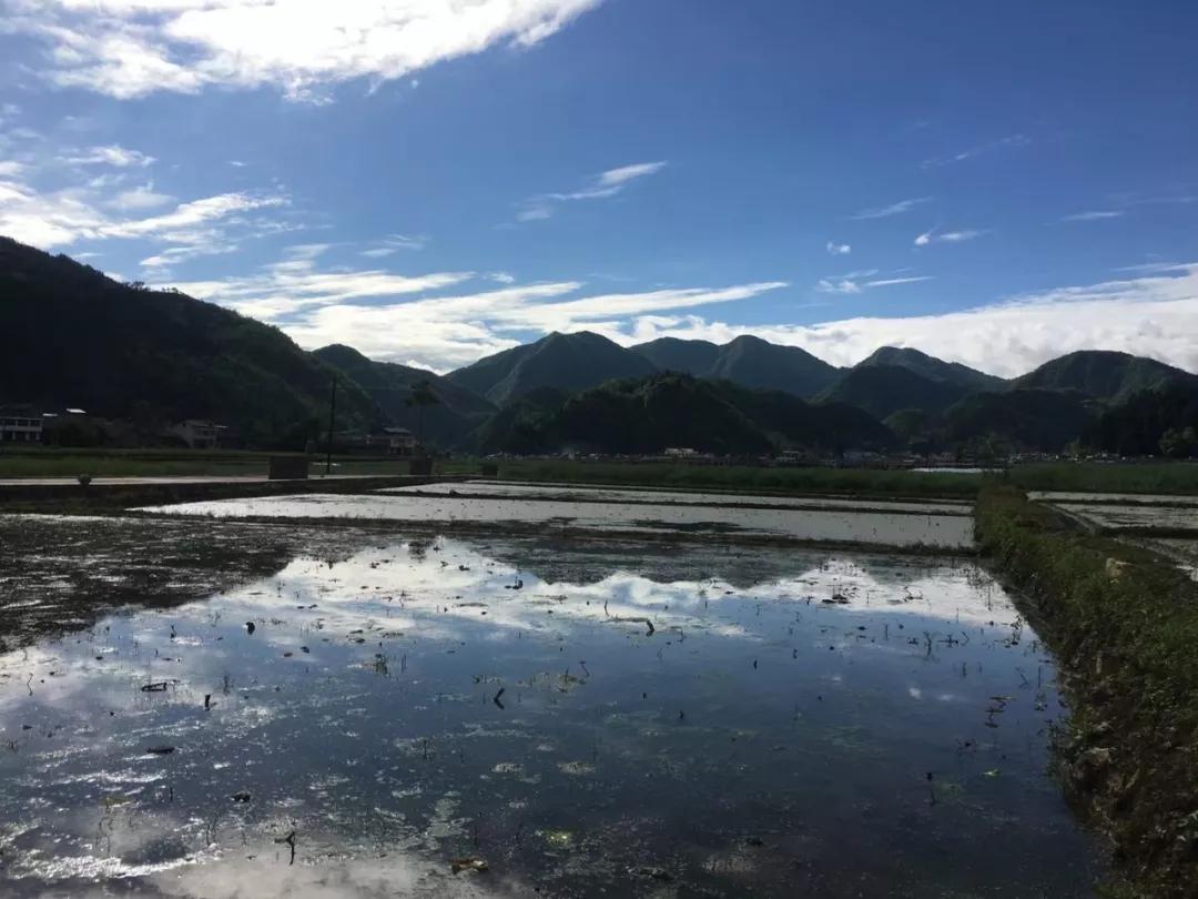 世界天坑之旅全集,世界天坑镇巴宣传片