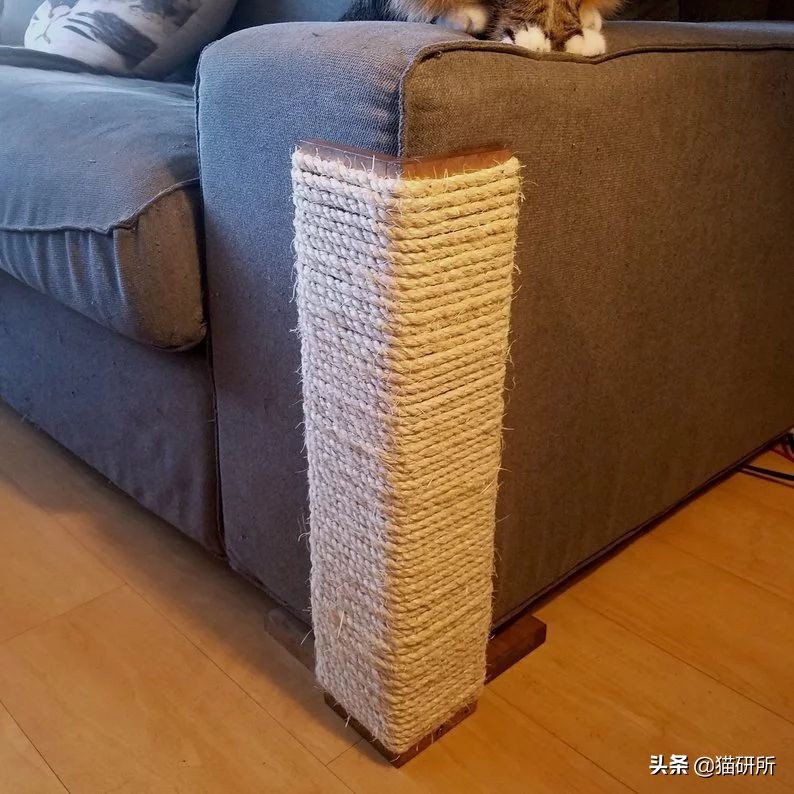 怎么防止猫抓板挠家具,怎样可以防止猫咪抓家具