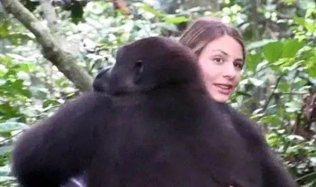 浜虹尶绻佹畺瀹為獙鎴愬姛浜嗗悧,浜虹尶绻佹畺瀹為獙