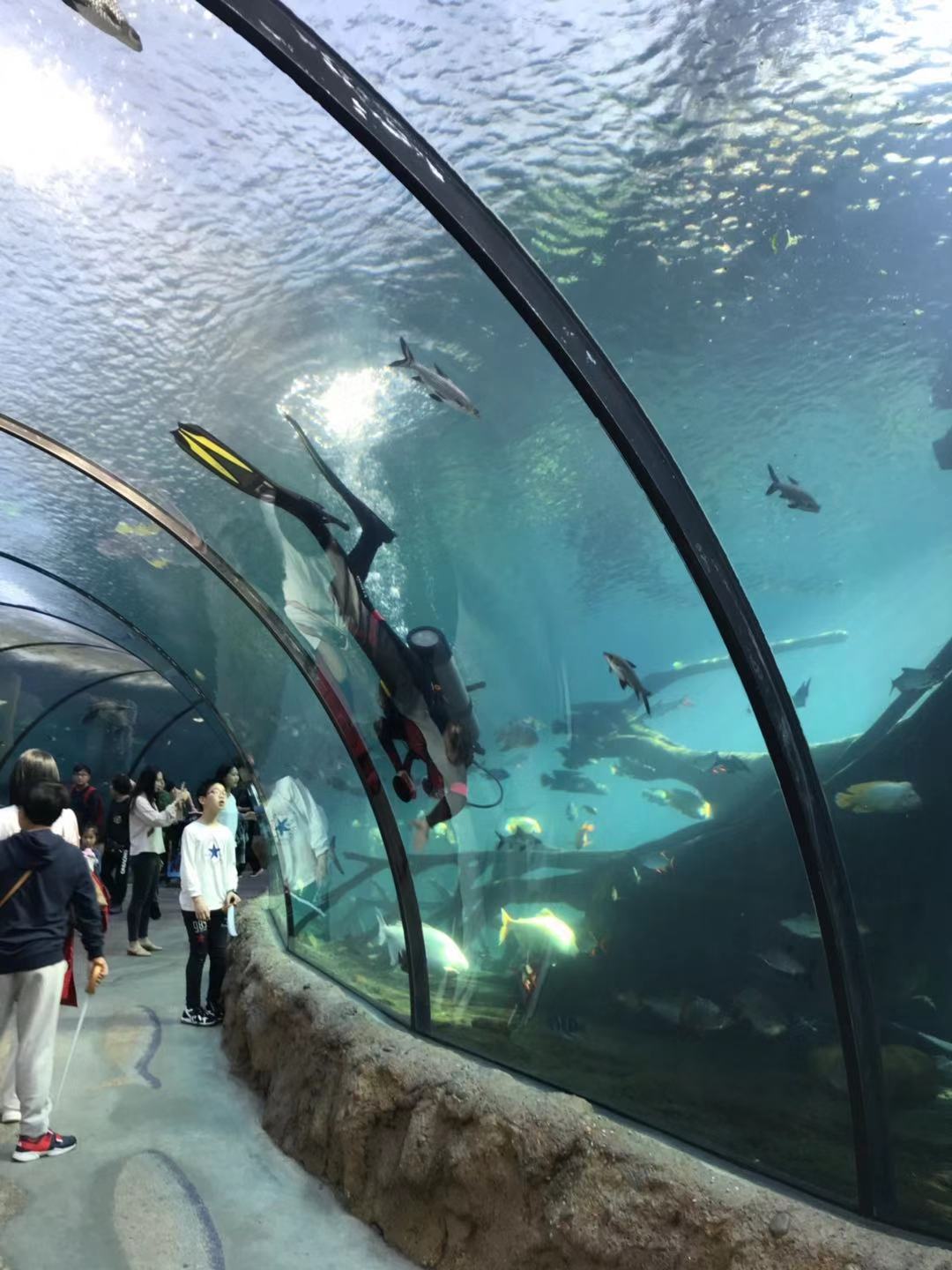 珠海长隆海洋王国亲子攻略2岁,亲子珠海长隆海洋王国一日游攻略