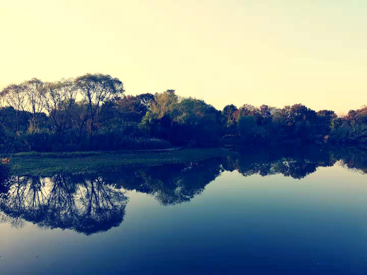 手上红点不痛不痒像血痣,手上不痛不痒的红点
