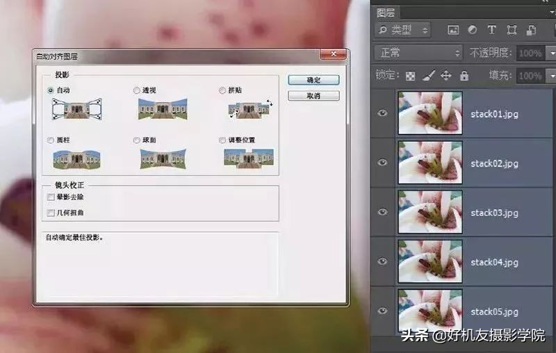 景深后期怎么合成照片,如何拍出前虚后实的景深照片