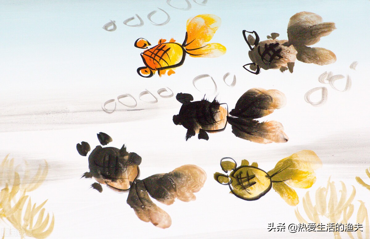 金鱼苗怎么养,养金鱼和锦鲤