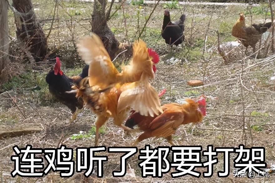 胡辣汤是河南哪里的非遗,河南胡辣汤申请非遗