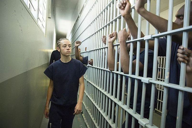 寄生虫里的穷人与富人,寄生虫揭露穷人和富人的本质