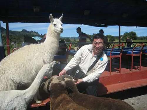 掌上乾坤指间生花世界级艺术家-贾同辉的“指墨”风釆