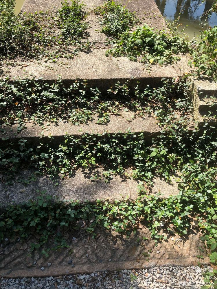 走进风雅石园，位于王店镇聚宝湾景区里