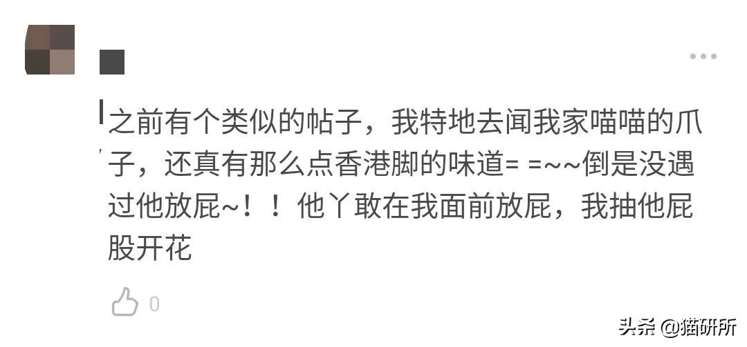 猫咪的脚丫子总是猫屎味 (为啥猫咪脚丫子臭)