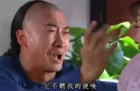 初雪终于来了原版,初雪终于在新年到来前