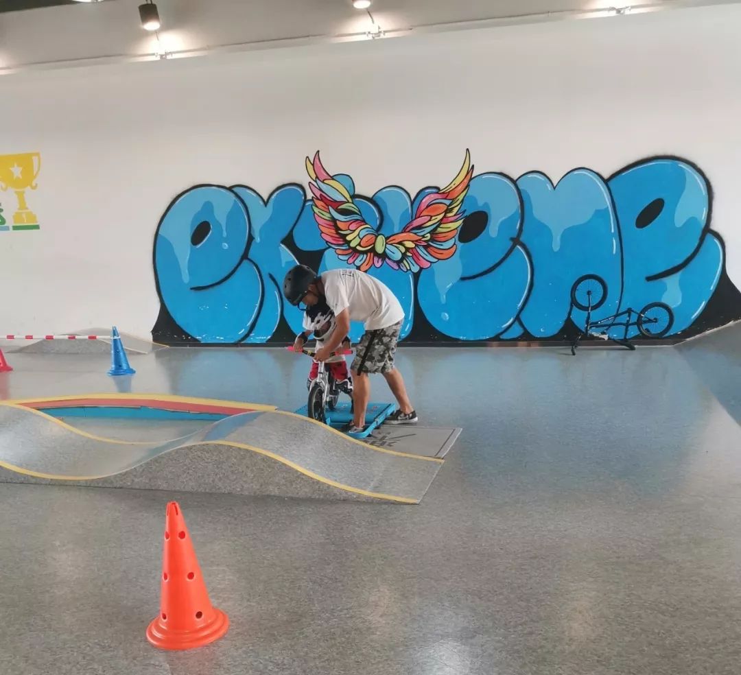 平衡车一个烧钱的运动 (实体店推荐的平衡车)