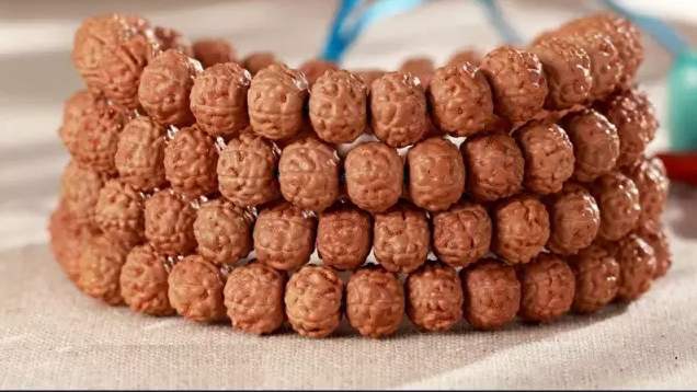 金刚菩提最全纹路解析,大金刚菩提纹路种类图解