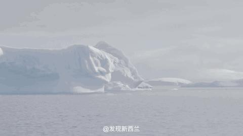 意大利确诊超20万例,意大利确诊破万