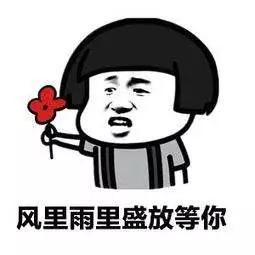 talktoyou是什么意思,talktoyoulater什么意思