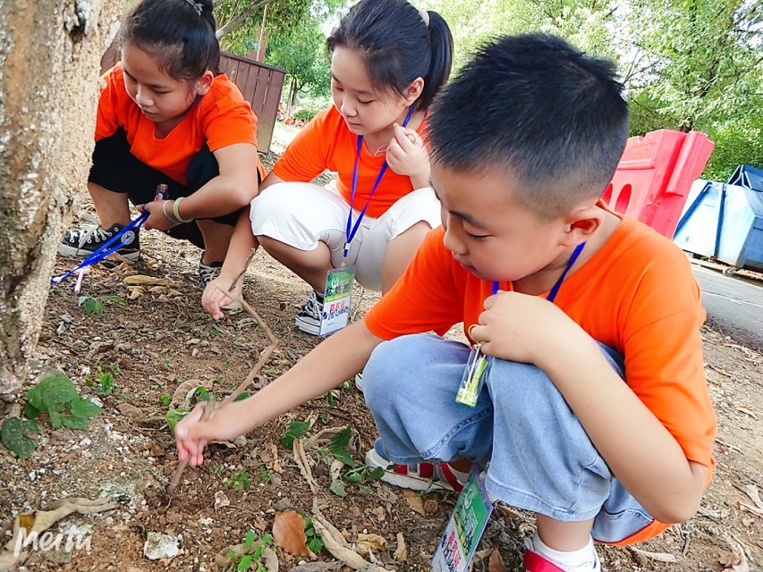 晋级教育托管加盟,托管教育机构加盟十大排行榜