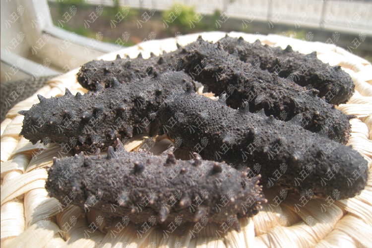 干海参价格一般多少啊,现在干海参价格是多少