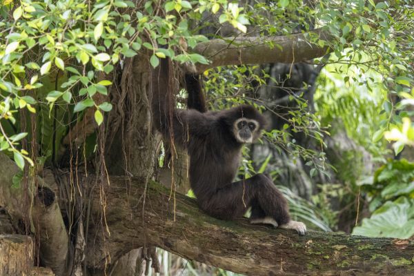 4个月宝宝逛北京动物园,武汉最好逛的动物园