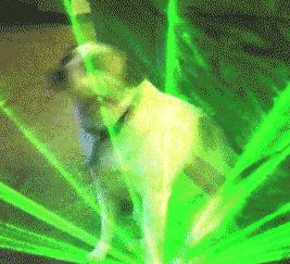 2021年秋冬彩妆新品,秋冬彩妆新品大全