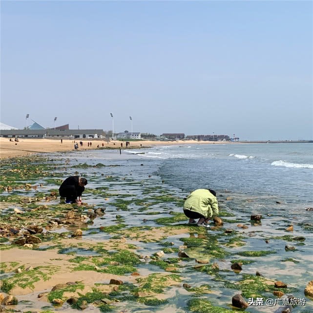 日照旅游景点万平口海洋公园,日照周边自驾一日游景点大全