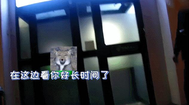 看傻!性感美女秒变胡茬大汉,警方为了劝大家不要裸聊有多努力?