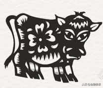 2019年生肖运势完整版,2019年蛇年运势及运程每月运程