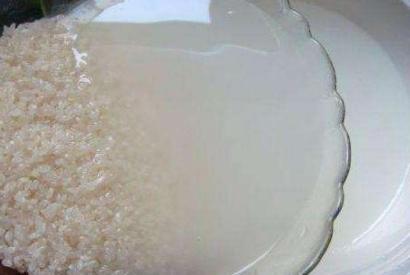 家庭盆栽废茶渣沤肥,牛奶和淘米水沤肥