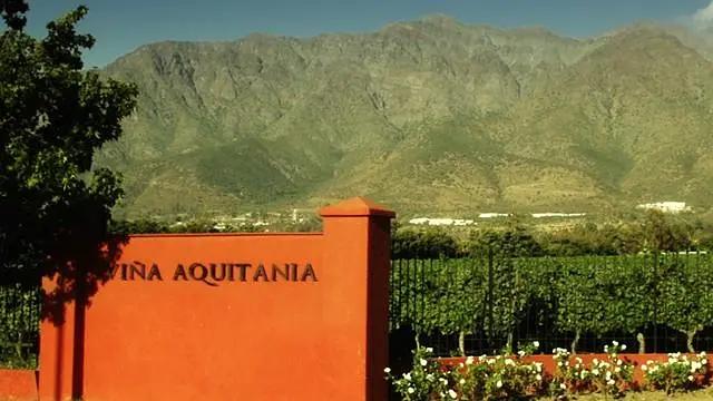 智利十大的酒庄排名榜最新,智利葡萄酒十大酒庄