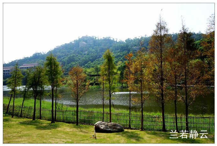 厦门国家会计学院校园,厦门国家会计学院漂亮吗