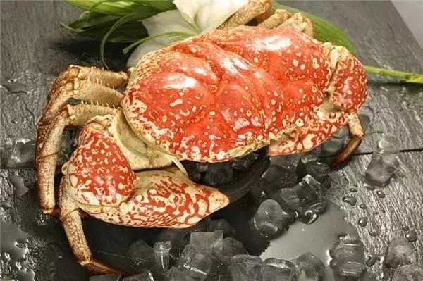 悉尼有多迷人,悉尼为什么是澳洲最宜居城市