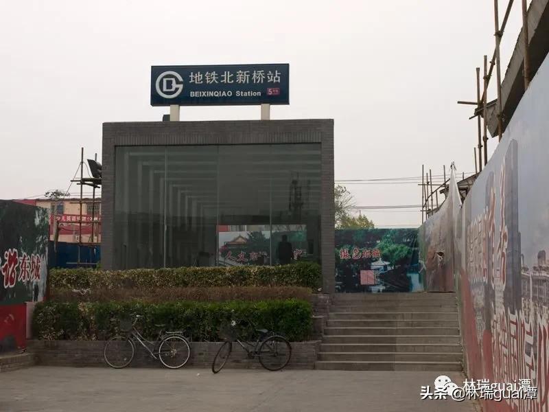 世界上龙真实存在吗,古代龙真实存在吗