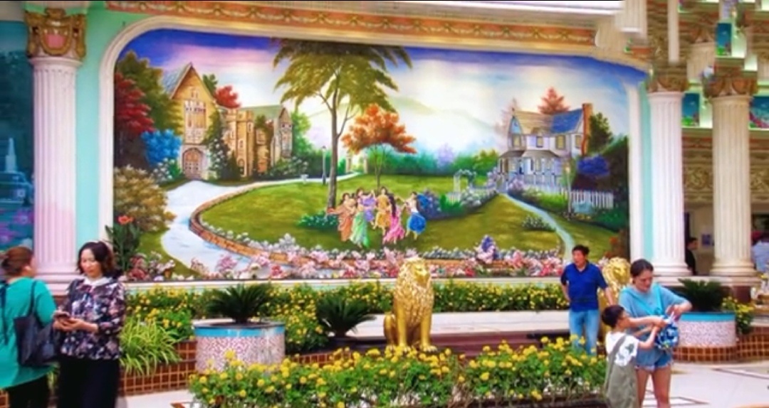 阿莲的聊天,阿莲聊短视频