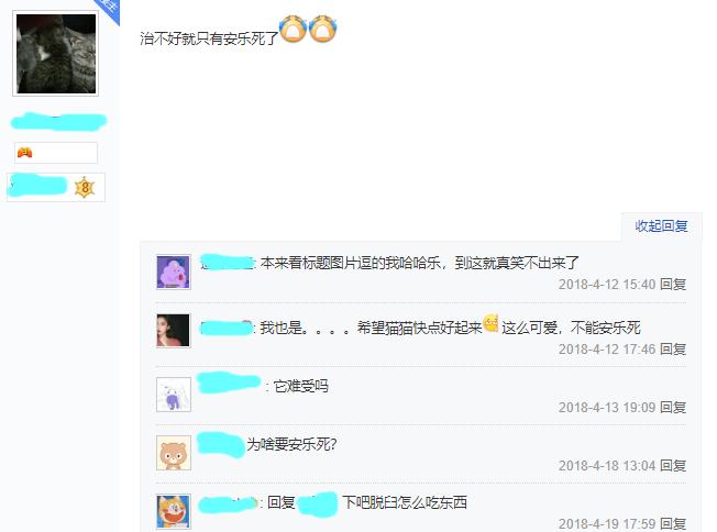 猫咪下巴脱臼,猫咪脱臼了治疗要多少钱