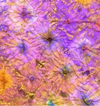 线性面料改造教程,简单的面料改造手法教程